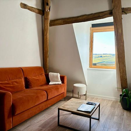 Appartement Cosy Vue Sur Le Vignoble Sancerre Kültér fotó