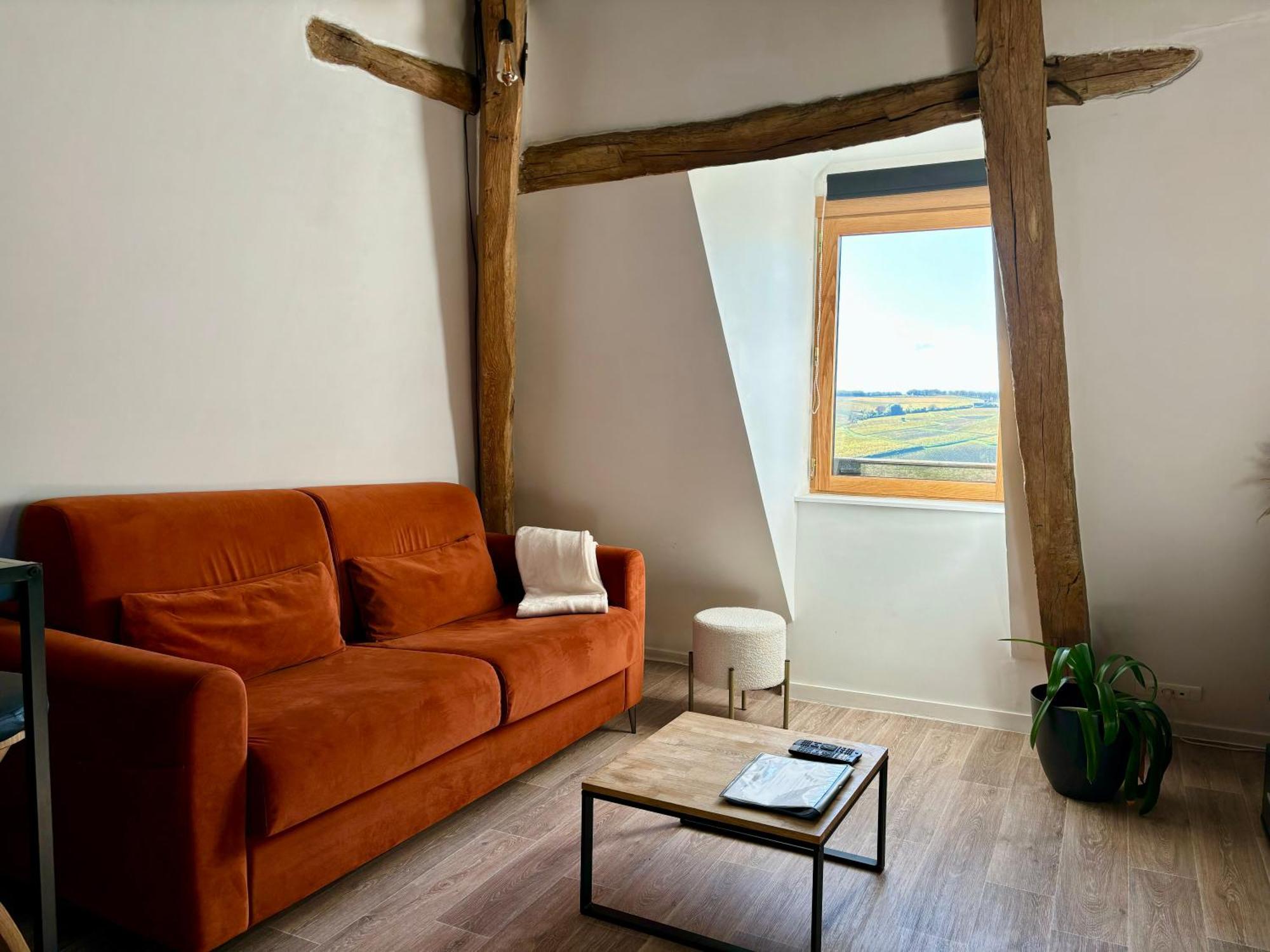 Appartement Cosy Vue Sur Le Vignoble Sancerre Kültér fotó
